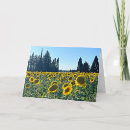 Sonnenblumenfeld, Provence, Frankreich -  Karte