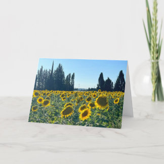 Sonnenblumenfeld, Provence, Frankreich - Karte