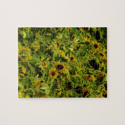 Sonnenblumenfeld Puzzle (Horizontal)