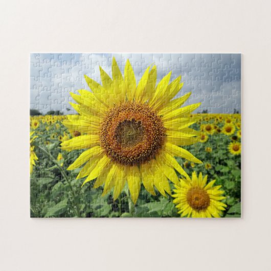 Sonnenblumenfeld Puzzle (Horizontal)