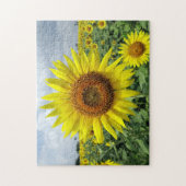 Sonnenblumenfeld Puzzle (Vertikal)