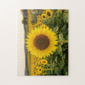 Sonnenblumenfeld Puzzle (Vertikal)