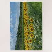 Sonnenblumenfeld Puzzle (Vertikal)