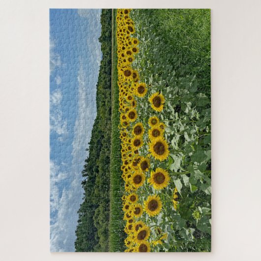 Sonnenblumenfeld Puzzle (Vertikal)