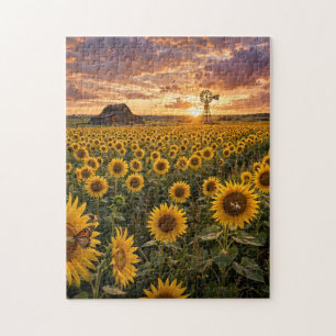 Sonnenblumenfeld Puzzle