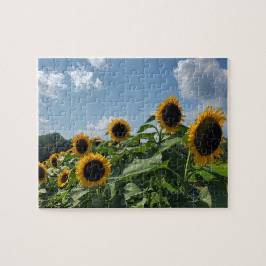 Sonnenblumenfeld Puzzle (Horizontal)
