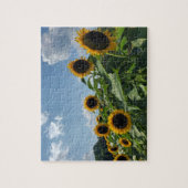 Sonnenblumenfeld Puzzle (Vertikal)