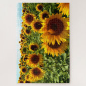 Sonnenblumenfeld Puzzle (Vertikal)