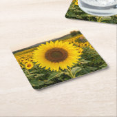 Sonnenblumenfeld Rechteckiger Pappuntersetzer (angewinkelt)