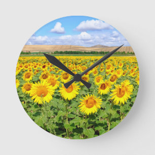 Sonnenblumenfeld Runde Wanduhr
