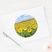 Sonnenblumenfeld Runder Aufkleber (Umschlag)