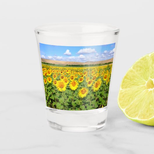 Sonnenblumenfeld Schnapsglas (Vorderseite)