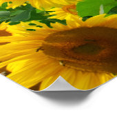 Sonnenblumenfeld, schöne Blumen, Poster (Ecke)