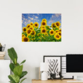 Sonnenblumenfeld, schöne Blumen, Poster (Heimbüro)