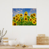 Sonnenblumenfeld, schöne Blumen, Poster (Küche)