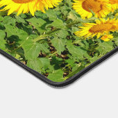 Sonnenblumenfeld Schreibtischunterlage (Ecke)