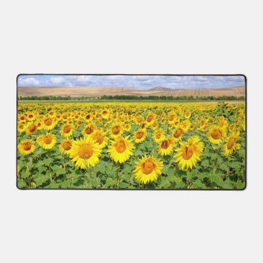 Sonnenblumenfeld Schreibtischunterlage (Vorderseite)