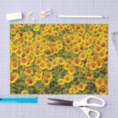 Sonnenblumenfeld Seidenpapier (Handwerk)