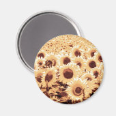 Sonnenblumenfeld - Sepiaton, Kamel & Braun Magnet (Vorderseite/Rückseite)