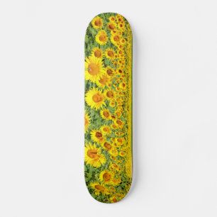 Sonnenblumenfeld Skateboard
