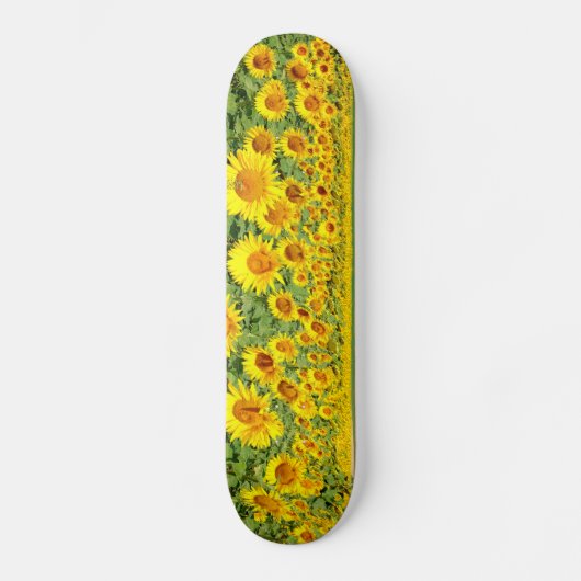 Sonnenblumenfeld Skateboard (Vorderseite)