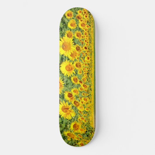 Sonnenblumenfeld Skateboard (Vorderseite)