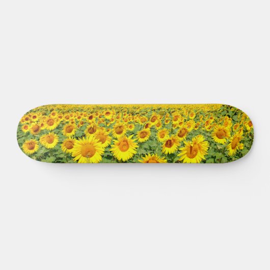 Sonnenblumenfeld Skateboard (Horizontal)