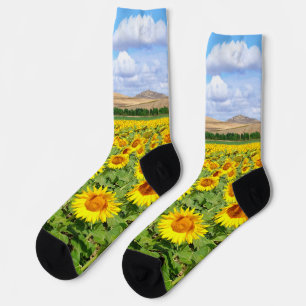 Sonnenblumenfeld Socken