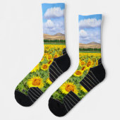 Sonnenblumenfeld Socken (Links)