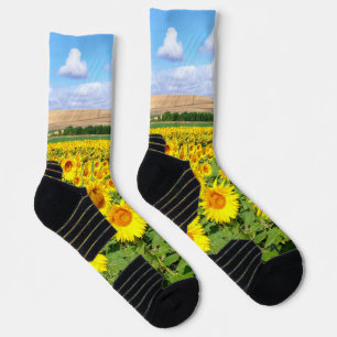 Sonnenblumenfeld Socken