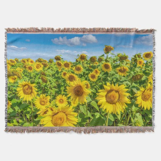 Sonnenblumenfeld, Sommersonntag. Decke (Vorderseite)