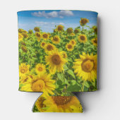 Sonnenblumenfeld, Sommersonntag. Dosenkühler (Rückseite)