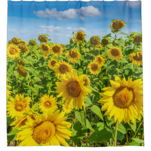 Sonnenblumenfeld, Sommersonntag. Duschvorhang