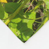 Sonnenblumenfeld, Sommersonntag. Fleecedecke (Ecke)