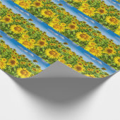 Sonnenblumenfeld, Sommersonntag. Geschenkpapier (Ecke)
