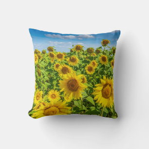 Sonnenblumenfeld, Sommersonntag. Kissen
