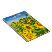 Sonnenblumenfeld, Sommersonntag. Notizblock (Rechte Seite)