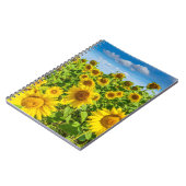 Sonnenblumenfeld, Sommersonntag. Notizblock (Linke Seite)