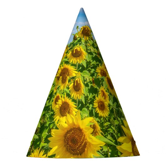 Sonnenblumenfeld, Sommersonntag. Partyhütchen (Vorderseite)