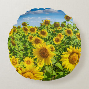 Sonnenblumenfeld, Sommersonntag. Rundes Kissen