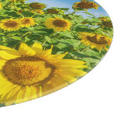 Sonnenblumenfeld, Sommersonntag. Schneidebrett (Ecke)