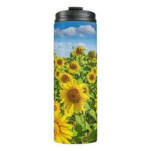 Sonnenblumenfeld, Sommersonntag. Thermosbecher