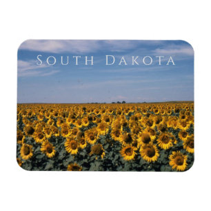 Sonnenblumenfeld, South Dakota Magnet