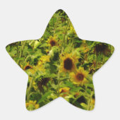 Sonnenblumenfeld Stern-Aufkleber (Vorderseite)