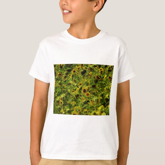 Sonnenblumenfeld T-Shirt (Vorderseite)