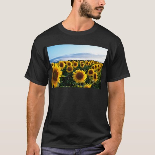 Sonnenblumenfeld T-Shirt (Vorderseite)