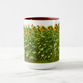 SONNENBLUMENFELD TASSE (Zentrum)
