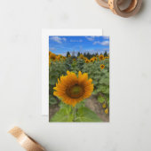 Sonnenblumenfeld und Biene Mitteilungskarte (Vorderseite/Rückseite Beispiel)