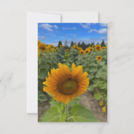 Sonnenblumenfeld und Biene Mitteilungskarte