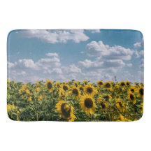 Sonnenblumenfeld unter blauem Himmel mit Wolken